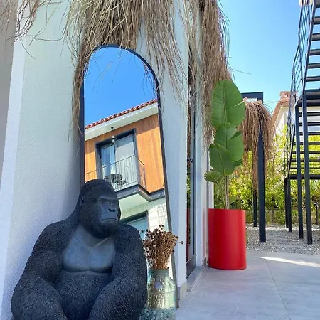 Primus Adult Only Αλακάτι