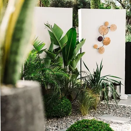 Hotel Primus Adult Only