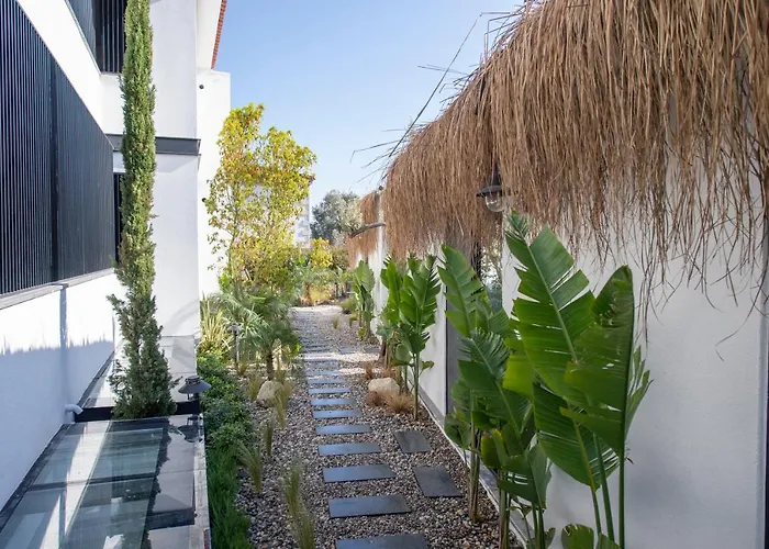 Primus Adult Only Hotel *