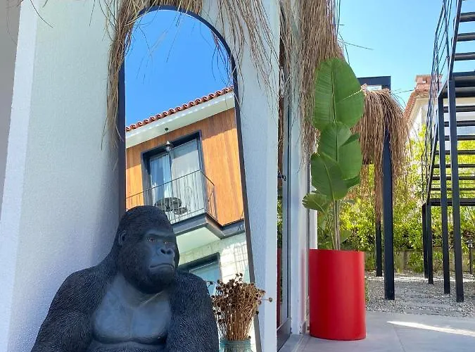 Primus Adult Only Alaçatı