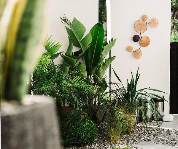 Hotel Primus Adult Only